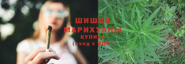 соль ск Богородицк