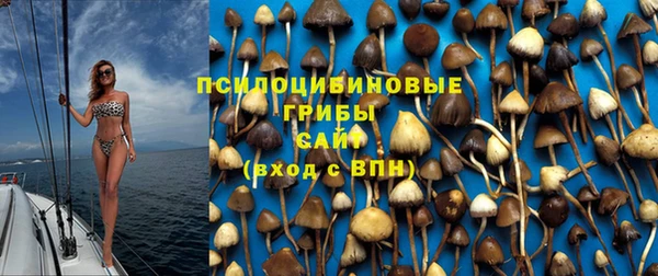 MESCALINE Богородск