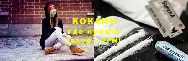 соль ск Богородицк